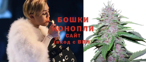 индика Лиски