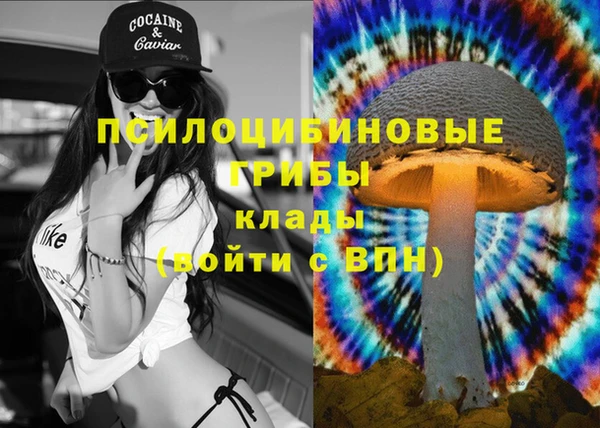 Альфа ПВП Липки